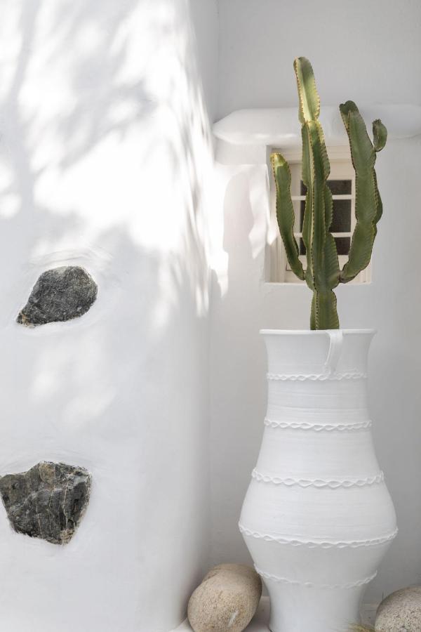 Вилла Cassaris Mykonos Drafaki Экстерьер фото