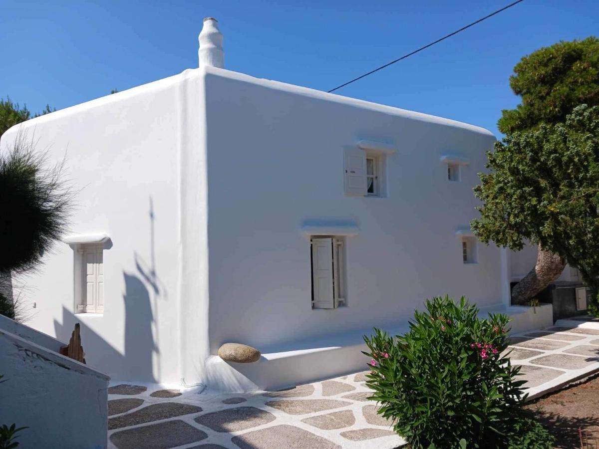 Вилла Cassaris Mykonos Drafaki Экстерьер фото